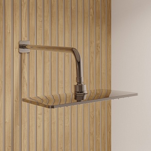 ������� ������� �������� ������� � ����������� ����� � ������ �����, Slide, IDDIS (SLISB02i67) �� �������� ������� � �. ������� �����