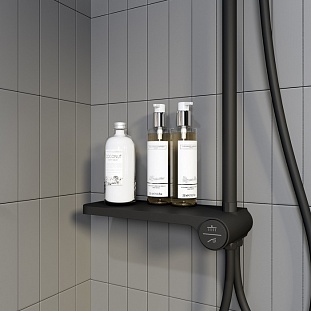 ������� �������� � ������� ������, ������ �������, IDDIS Ray (RAYMS3Fi76) �� �������� ������� � �. ������� �����