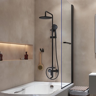 ������� ������� IDDIS � ������� ������ ������� Ray (RAYBL3Fi06) �� �������� ������� � �. ������� �����