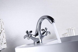 ��������� Lemark Flora LM0106C ��� �������� �� �������� ������� � �. ������� �����