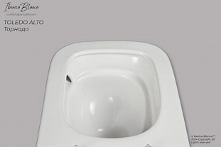 ������ ��������� ������������ ������� IBERICA BLANCA TOLEDO ALTO �� �������� ������� � �. ������� �����