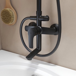 ������� ������� IDDIS � ������� ������ ������� Ray (RAYBL3Fi06) �� �������� ������� � �. ������� �����