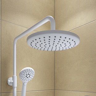 ������� ������� IDDIS � ������� ����� ������� Ray (RAYWT3Fi06) �� �������� ������� � �. ������� �����