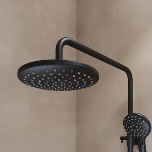 ������� ������� IDDIS � ������� ������ ������� Ray (RAYBL3Fi06) �� �������� ������� � �. ������� �����